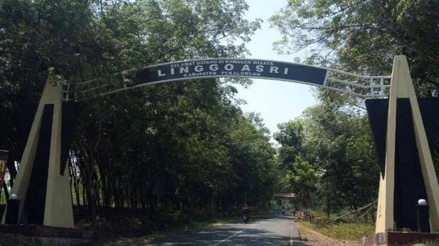 Linggoasri